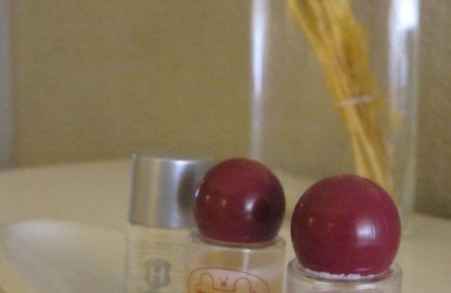 Sardon de Duero Hotel | Hostal Sardon