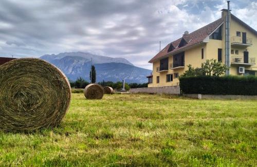 Campo House | Hostal Turbon
