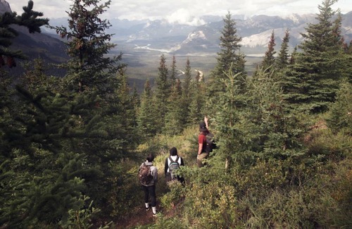Jasper East Hostel | Hostel ∙ 8 guests