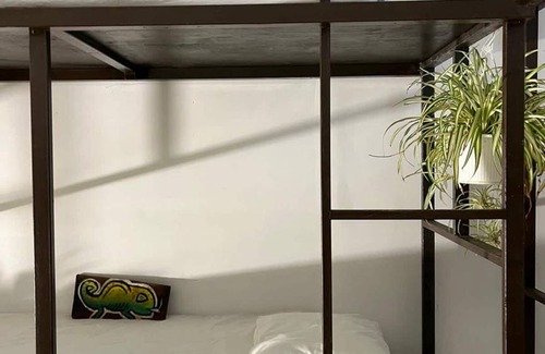 Rincon Hostel | Hostel ∙ 8 guests
