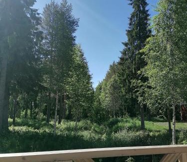 Rovaniemi Hostel | Hostel Tikka