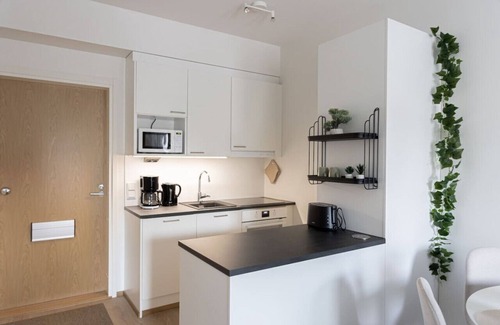 Rovaniemi Apartment | Hostit Cozy Apartments b39 by BookLapland