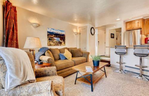 Park Forest Estates Apartment | Hot Tub & Sauna PEAK 8 BRECKENRIDGE