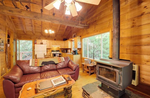 Vein Mountain Cabin | Hot Tub & Trail Access: Relaxing Marion Cabin
