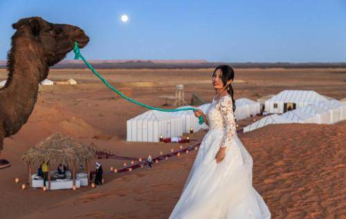 Lac Yasmins Hotel | Hotel ∙ 40 guests
