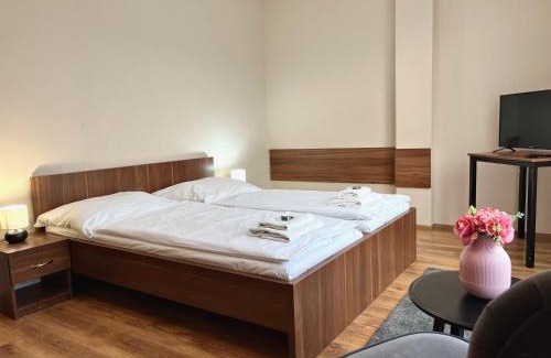 Brumov-Bylnice Hotel | Hotel Aréna