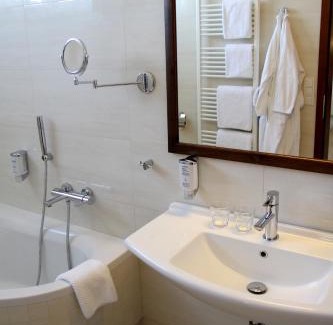 Zlin Hotel | Hotel Baltaci Atrium