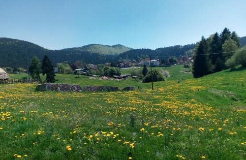Cesuna di Roana Hotel | Hotel Belvedere