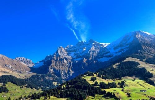 Adelboden Hotel | Hotel Bristol Relais du Silence Superior