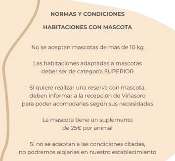 Alcazar de San Juan Hotel | Hotel Château Viñasoro
