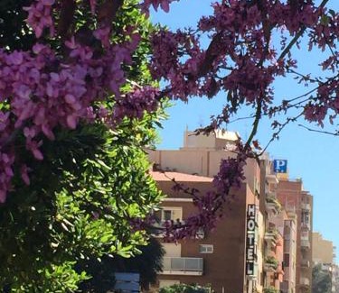 Tarragona Hotel | Hotel Cosmos Tarragona