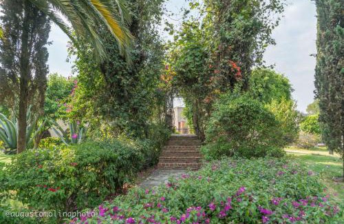 Cholula Hotel | Hotel El Cristo