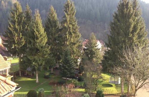 Oberwolfach House | Hotel Garni Café Schacher