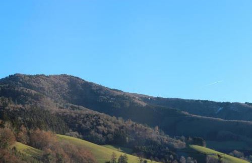 Glottertal Hotel | Hotel Gasthaus Zur Linde