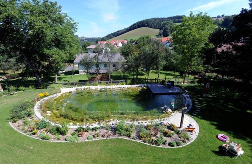 Bad Schonau Hotel | Hotel Geier