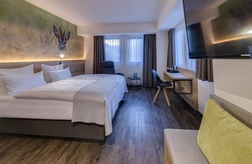 Wissen House | Hotel Germania Wissen - Standard Doppelzimmer Dusche/wc