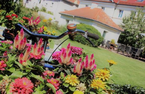 Germersheim Hotel | Hotel Germersheimer Hof