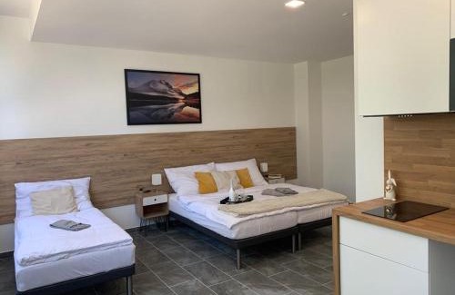 Mosnov Apartment | Hotel Hangar