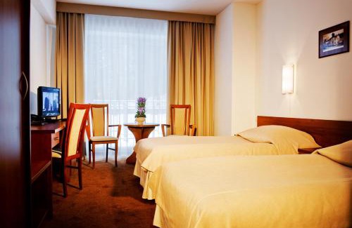 Krynica-Zdroj Hotel | Hotel Krynica Conference & SPA