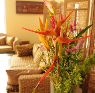Mamoudzou Hotel | Hotel Maharajah