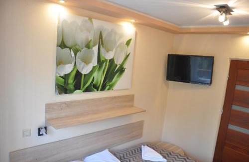 Rzezawa Hotel | Hotel Mis
