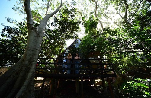 Tequila Cabin | Hotel Cabañas Yyukkai
