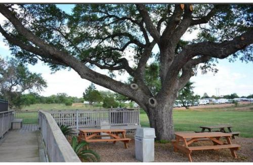 Cuero Hotel | Hotel O Executive Inn & Suites Cuero Hwy 87