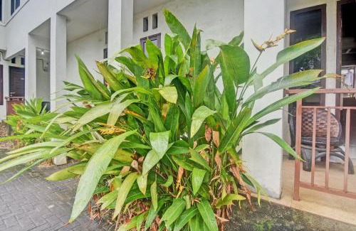 Manado Hotel | Hotel O Kost 99