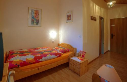 Saas Almagell Hotel | Hotel Olympia