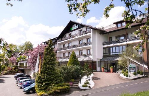 Bad Soden-Salmuenster Hotel | Hotel-Restaurant Birkenhof