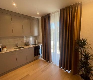 Fischingen Apartment | Hotel Swiss Bellevue Oberwangen
