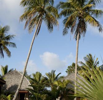 Poindimie Hotel | Hotel Tieti