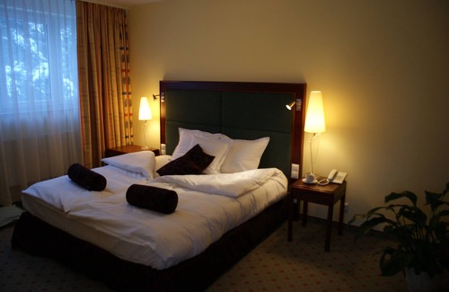Pyrzowice Hotel | Hotel Wilga by Katowice Airport