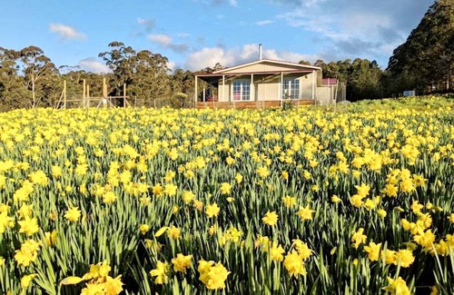 Golden Valley House | House ∙ 1 bedroom ∙ 6 guests