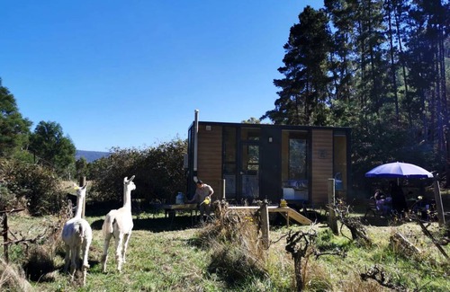 Flowerdale House | House ∙ 1 bedroom ∙ 2 guests
