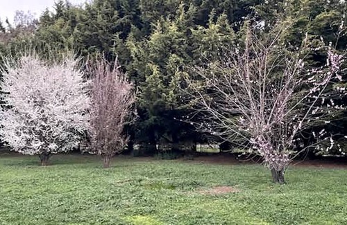 Lancefield House | House ∙ 1 bedroom ∙ 2 guests