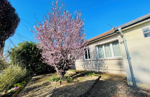 Chaumont House | House facing Palestra: veranda & enclosed garden. Pets welcome!