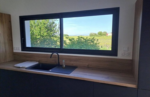 Saint-Victor-la-Coste House | House in the heart of vineyards 20 minutes from Avignon and Pont du Gard 4
