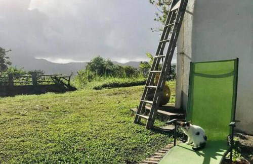 Le Morne-Rouge House | House in nature, between land and sea