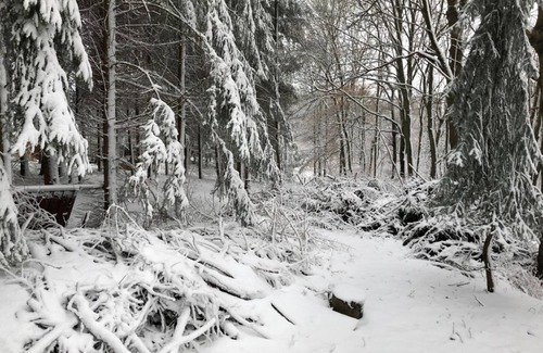 Windhagen Apartment | House in nature. Windhagen is a municipality in the Neuwied district