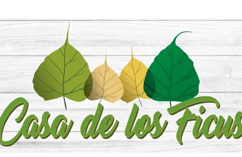 Xalapa House | House of ficus (banderilla,veracruz-mexico)