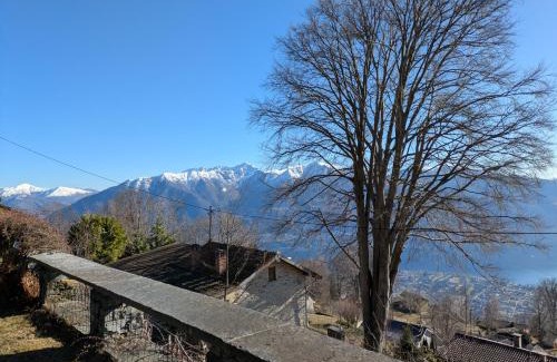 Locarno House | House under the beeches- Casa sotto i Faggi
