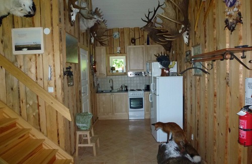 Savsjo Cottage | House With An Unique Gathering Of Hunting Trophies. View Of The Pond & Village