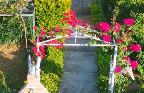 Lefkandi Apartment | House with Wonderful View