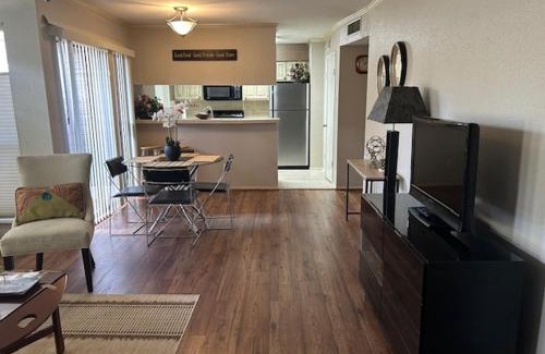 Braeswood Place Apartment | Houston-Med Center NRG Area 2B-2B All Inclusive