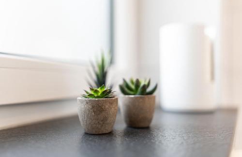 Sued Apartment | Hozo2-Exklusiv Apartment der Roze Living
