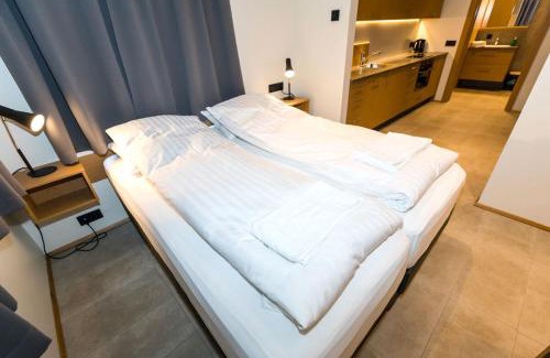 Oddeyrin Apartment | Hrimland Apartments