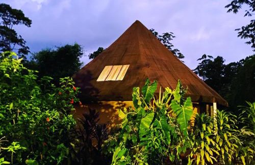 Ecuadorian Amazon Hotel | Huasquila Amazon Lodge & Reserve
