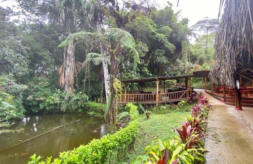 Ecuadorian Amazon Hotel | Huasquila Amazon Lodge & Reserve
