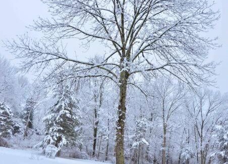 Hopewell Junction Ski Chalet | Hudson Valley Farmhouse on 4 acres, pets allow
